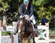 Cellini Dear Vinc GioCav2013 S6 7432 : Campionati Italiani Giovani Cavalli, Cattolica, Cellini Luigi, Dear Vinc, ph Stefano Secchi ©